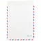 JAM Paper 10" x 13" White Airmail Tyvek Envelopes, 25ct.